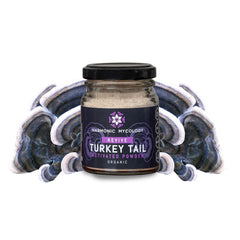 Turkey Tail Mushroom Powder