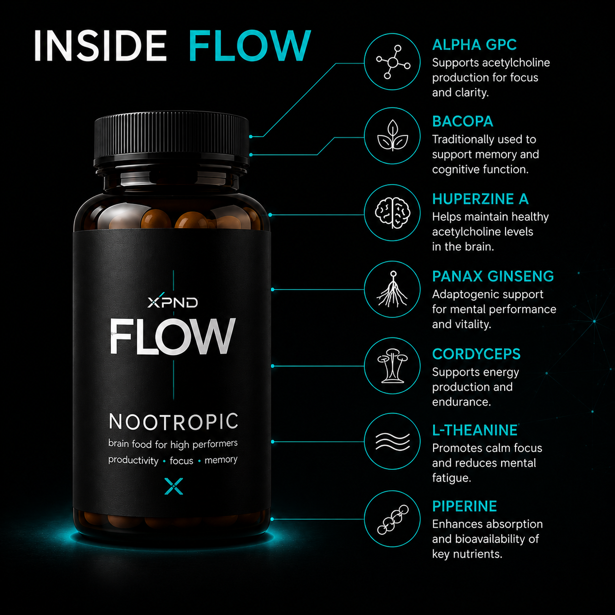 FLOW - (Formerly Xpanded Brain)