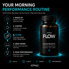 FLOW - (Formerly Xpanded Brain)