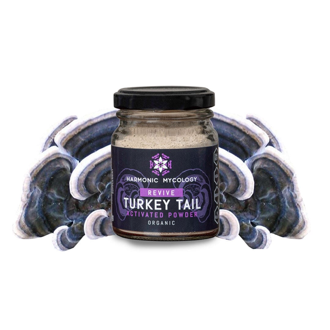 Turkey Tail Mushroom Powder