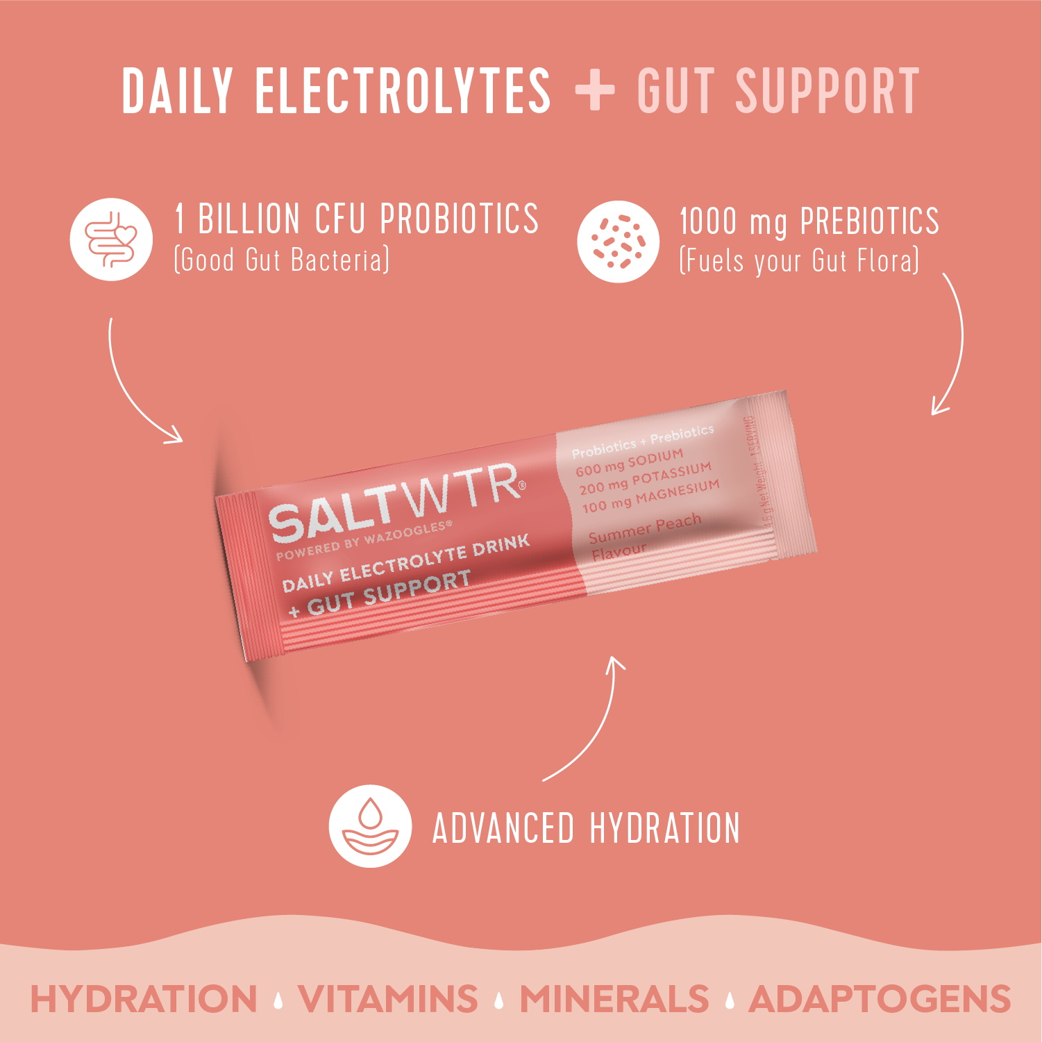 SaltWTR Daily Electrolytes - Summer Peach | Gut Support - Month Supply