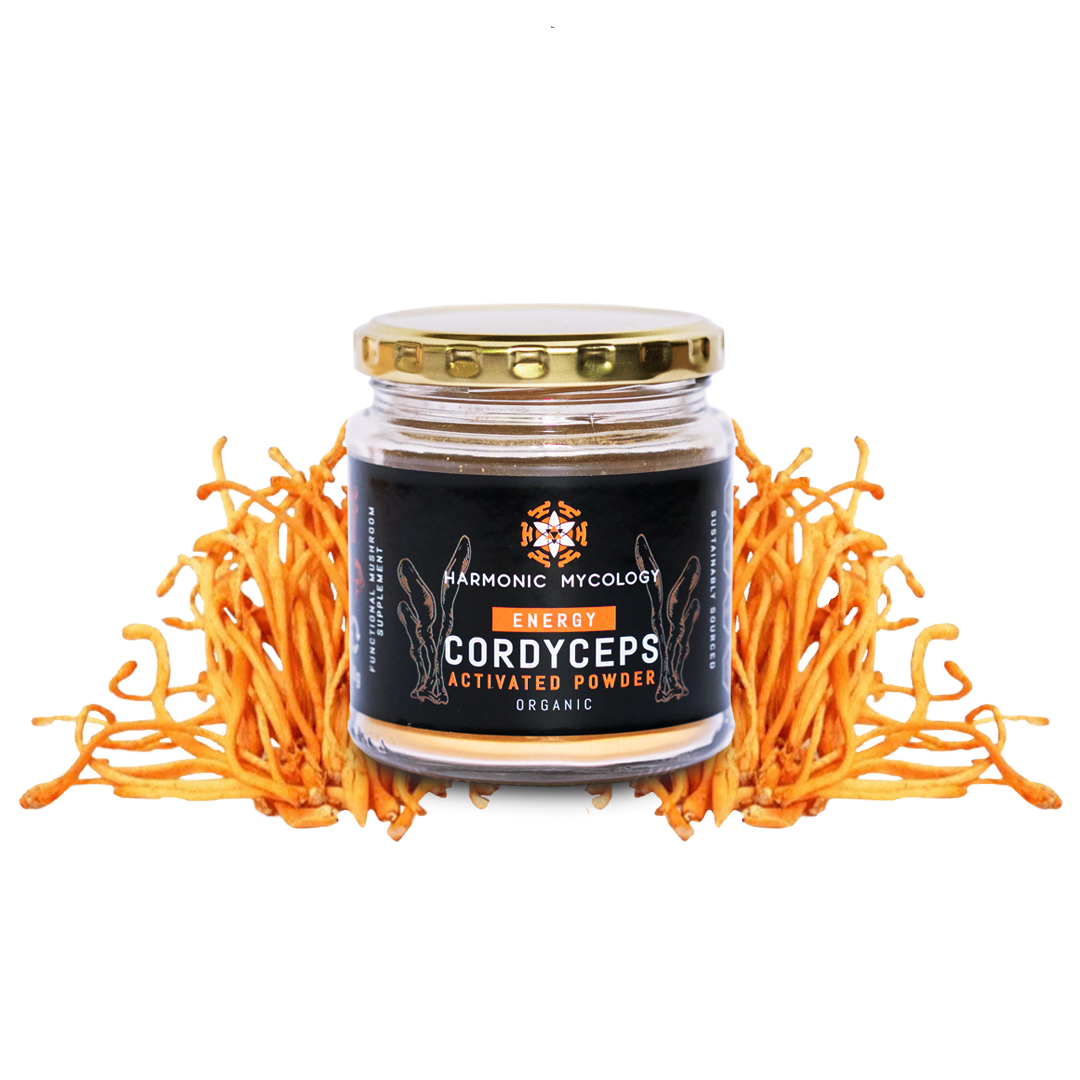 Cordyceps Mushroom Powder