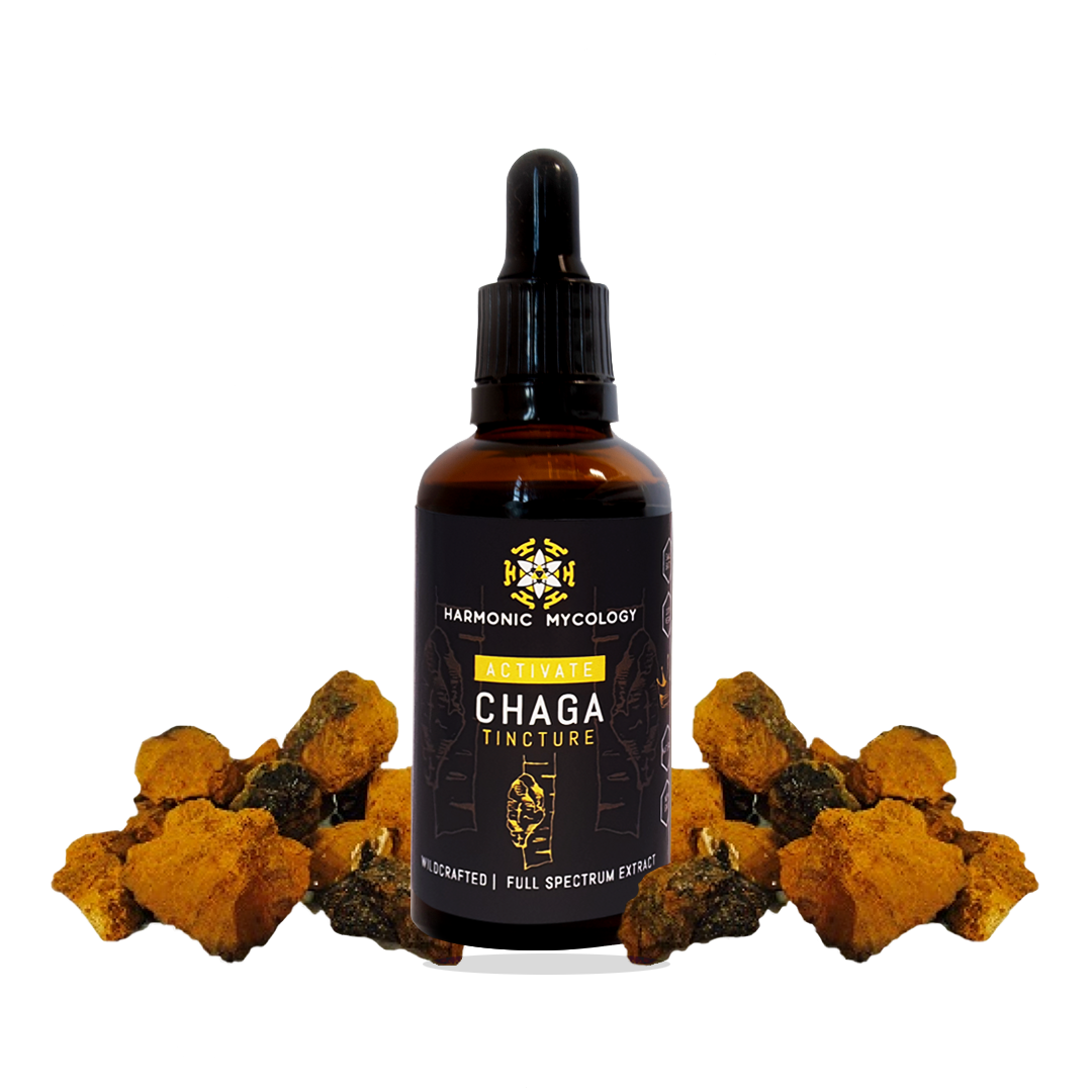 Chaga Mushroom Liquid Extract
