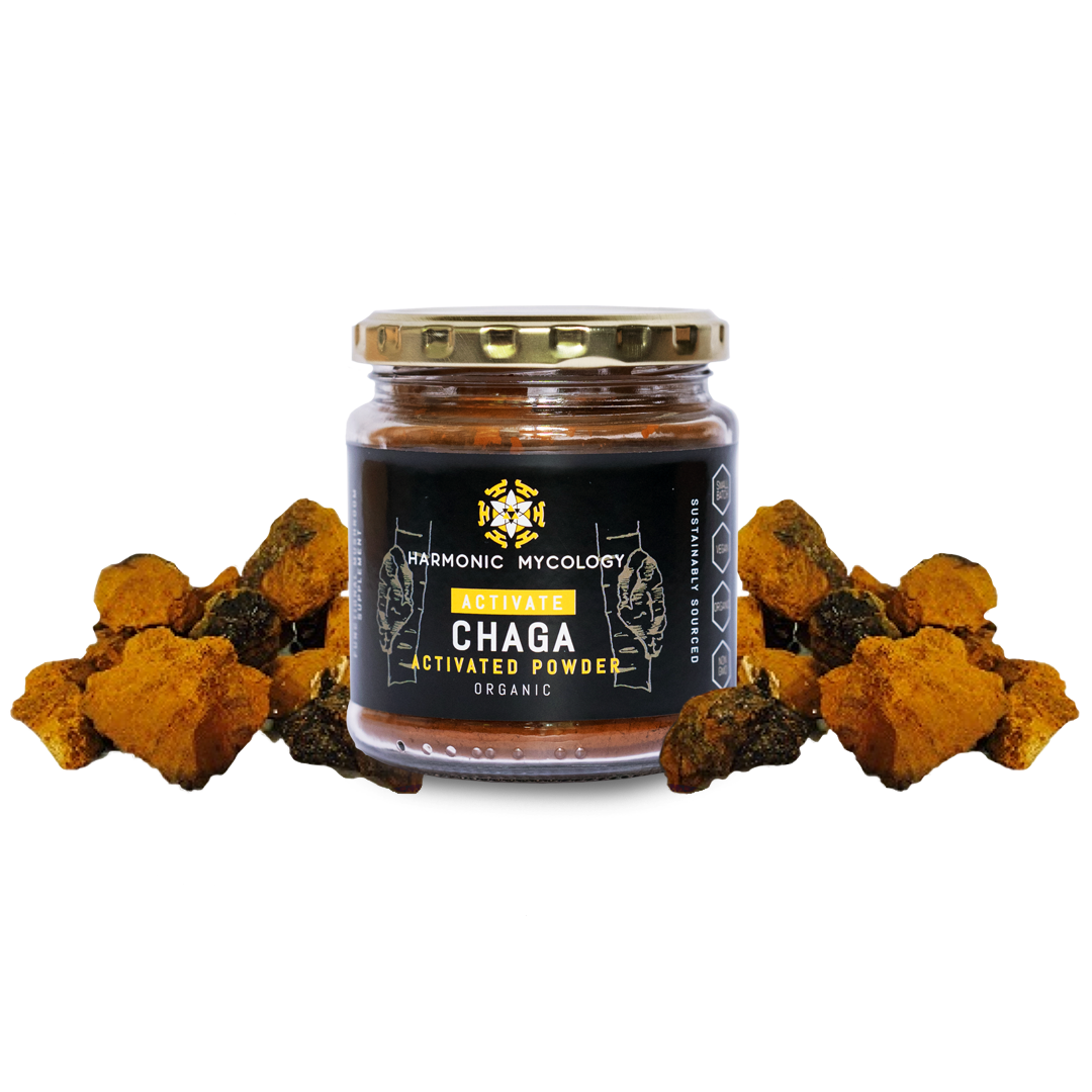 Chaga Mushroom Powder