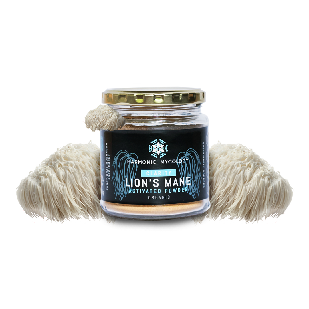Lions Mane Mushroom Powder